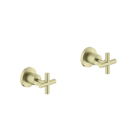 Nero NR201609BG X Plus Wall Top Assembly - Brushed Gold