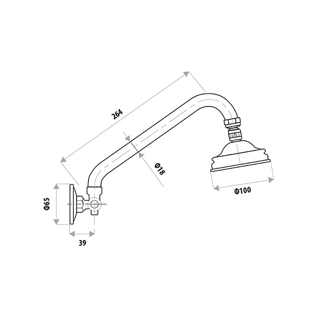 All Directional Gooseneck Shower White and Chrome