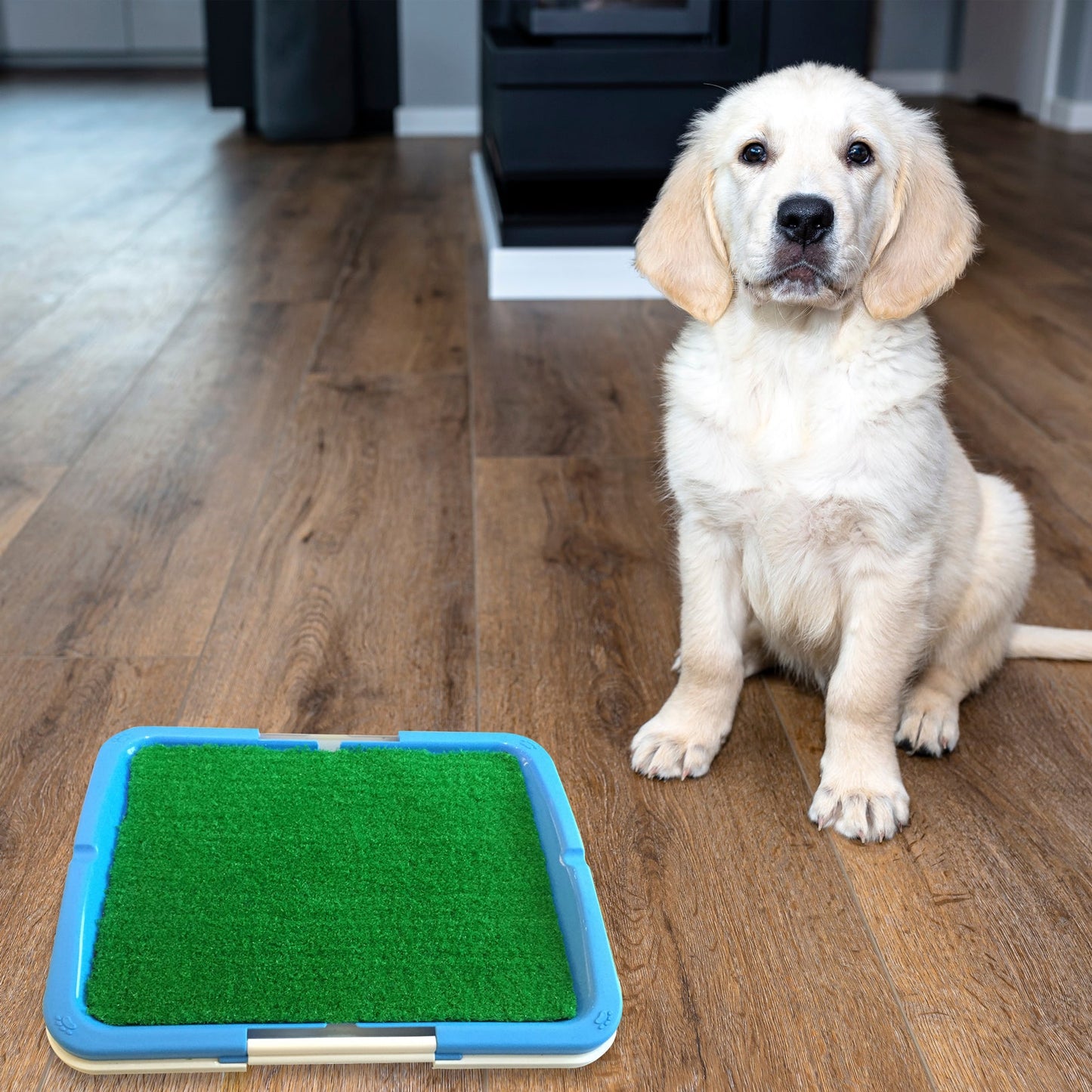 Portable Puppy Pet Toilet - Online Only