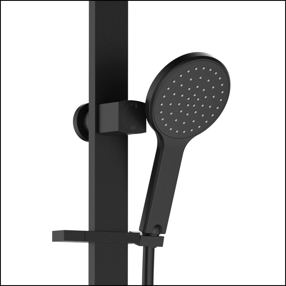 Fienza Kaya Deluxe Twin Shower Matte Black 455119B Showers